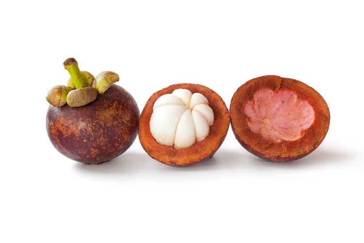 mangosteen garcinia mangostana