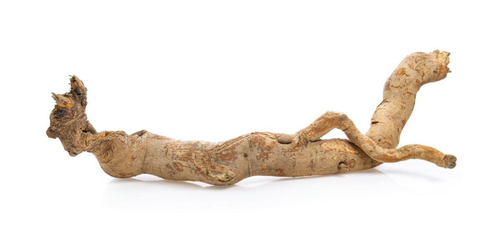 tongkat ali extract